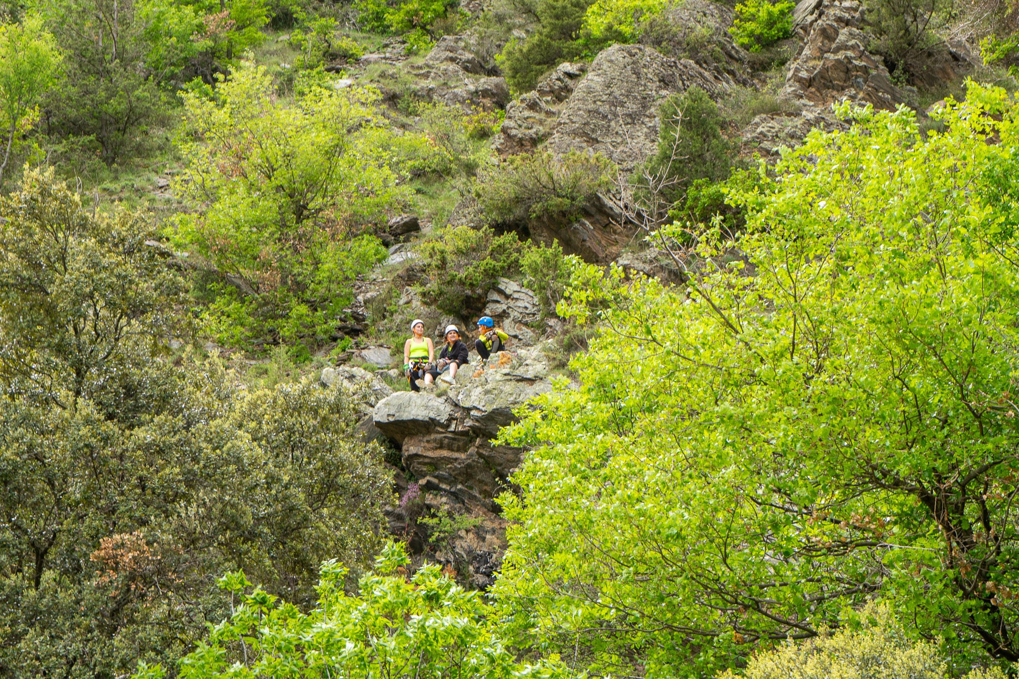 ferrada envoltada de natura