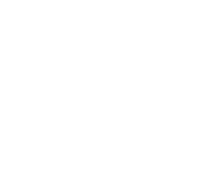 fat bikes pallars